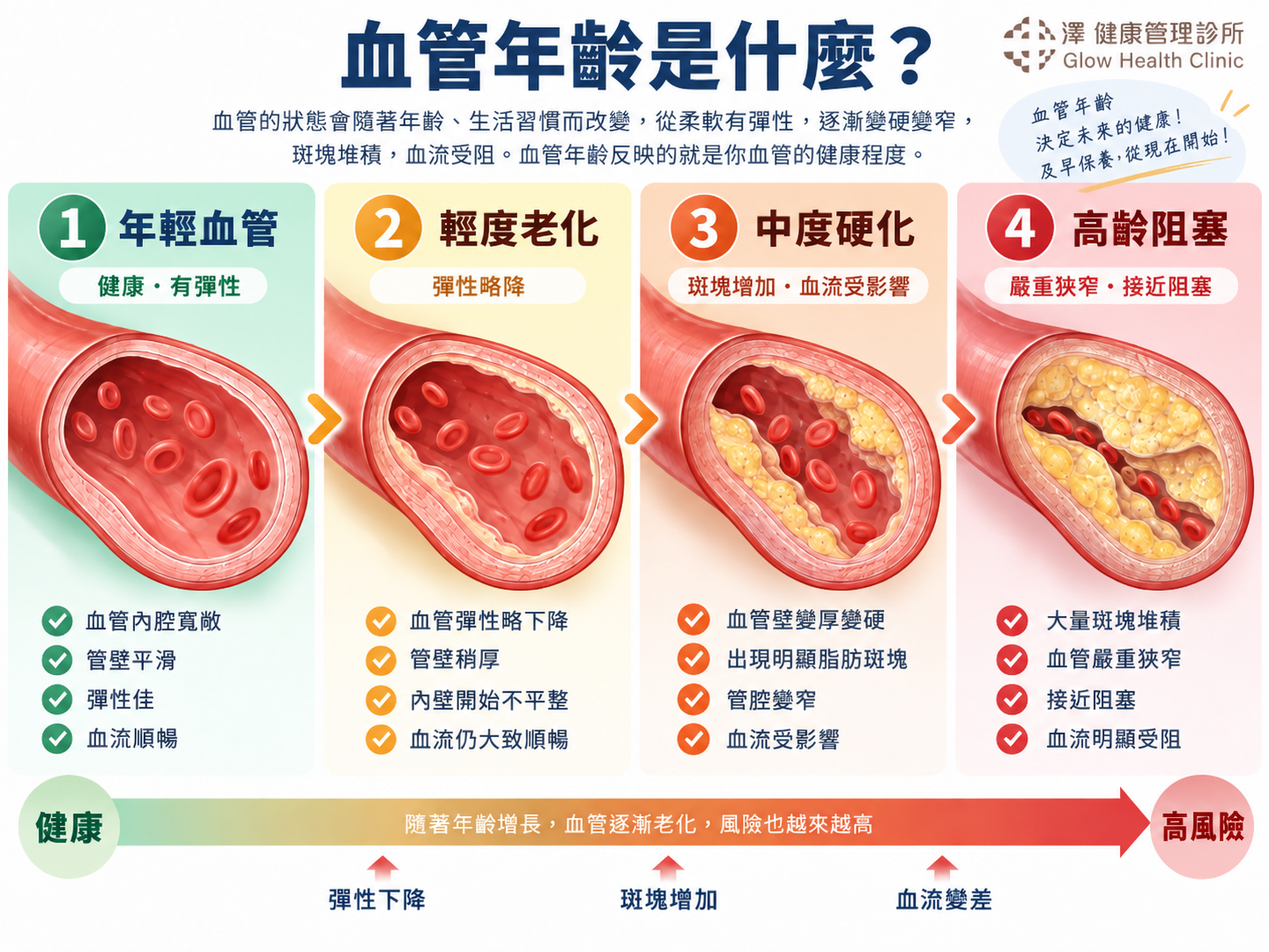 血管年齡 四階段 - 澤健康管理診所